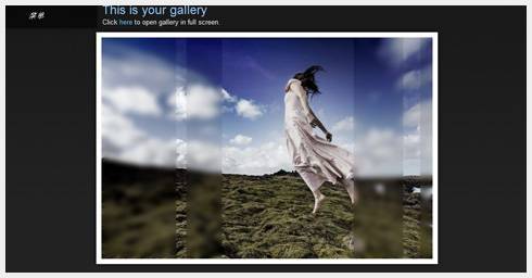 imagevue0