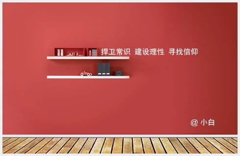 白岩松的文章