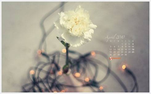 spring-flower