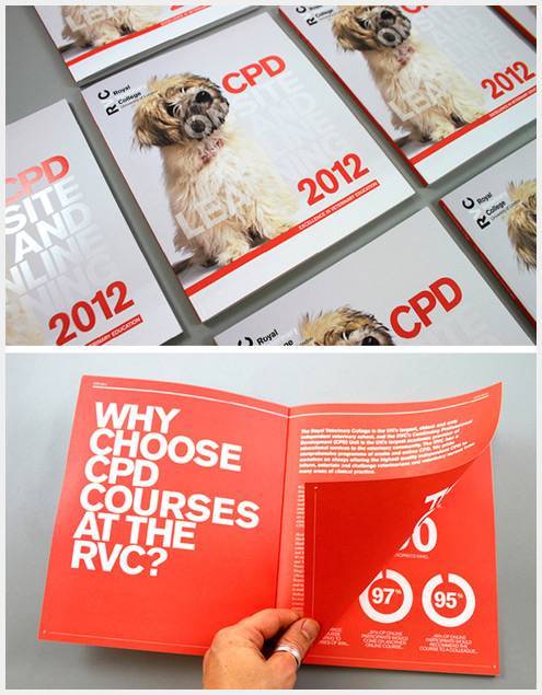 42-Royal-Veterinary-College-CPD-Brochure-2012