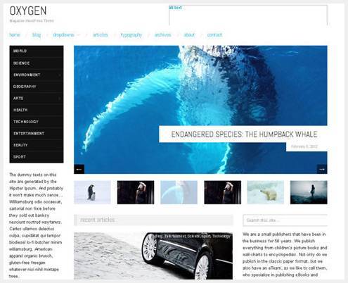14-responsivewordpress14 15个轻量级WordPress的主题下载