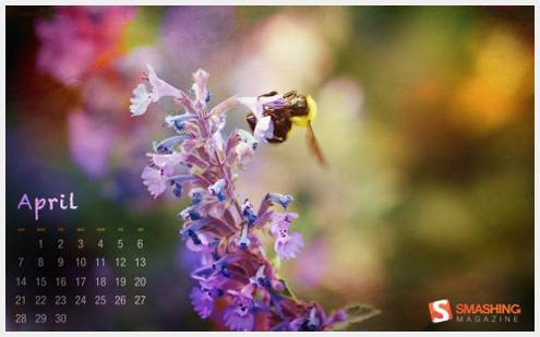 bee__77
