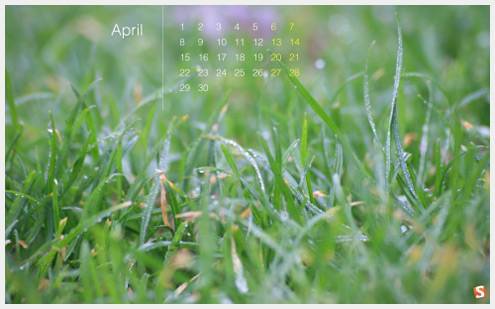 spring_grass__92
