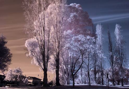 infrared_photography