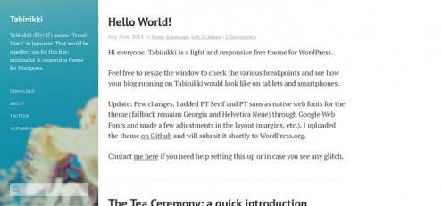 wp_themes_04