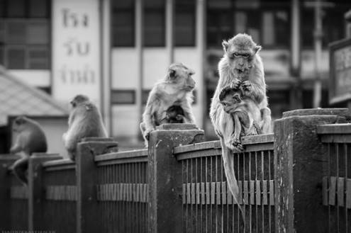 bwphotos04