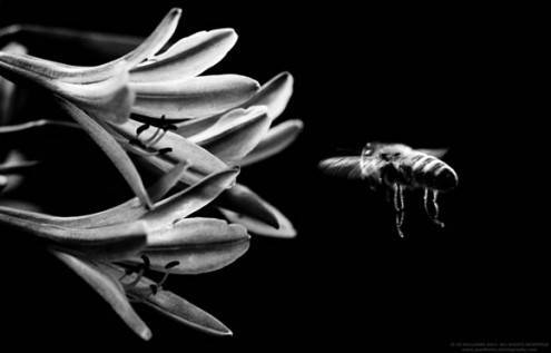 bwphotos28