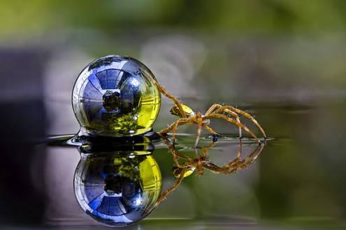 macro15