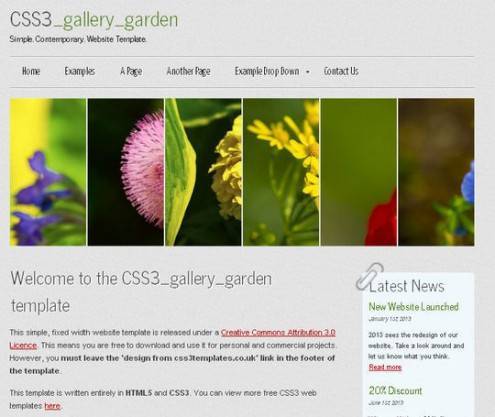 css3webtemplates4