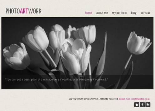css3webtemplates50