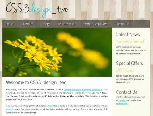 css3webtemplates8