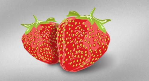 vectorartdesign23