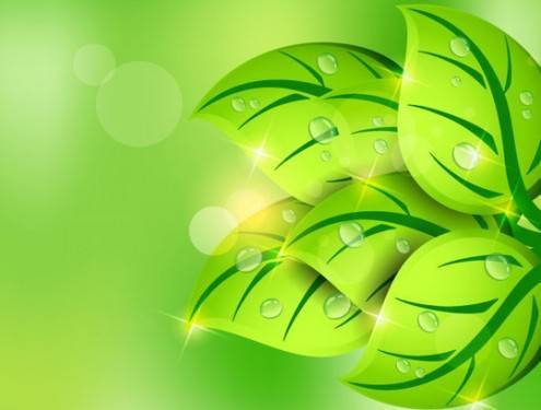 vectorartdesign30