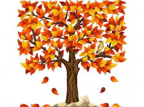 vectorartdesign6