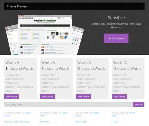 wordpressthemes16