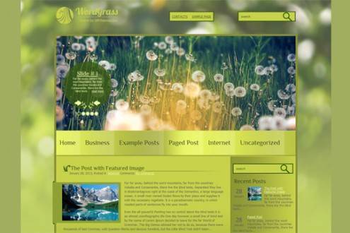 wordpressthemes38