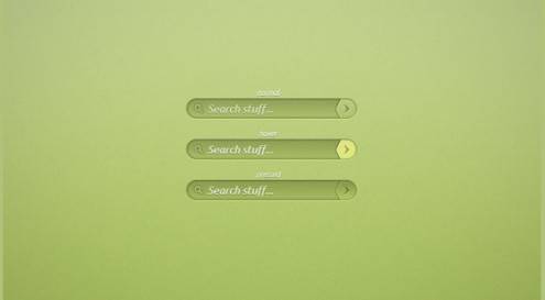 searchboxpsddesign14