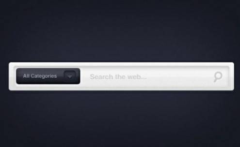 searchboxpsddesign30
