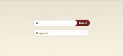 searchboxpsddesign31