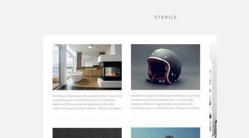 freebieswebdesigners24