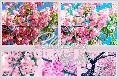 photoshopactions26