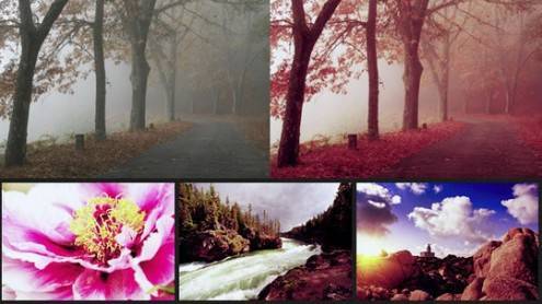photoshopactions5