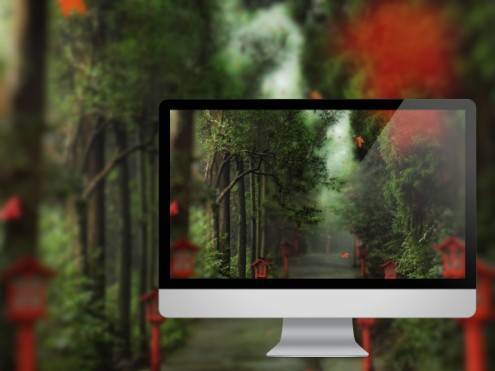 alley-in-the-forest1