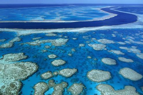 great-barrier-reef