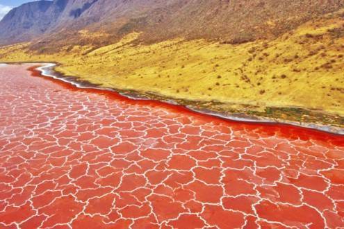 lake-natron
