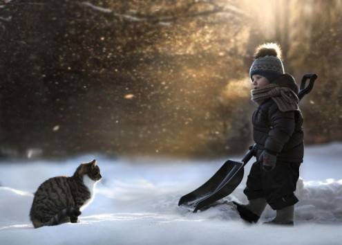 shumilova1