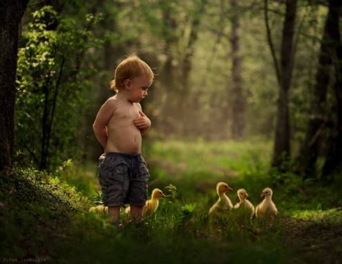 shumilova3