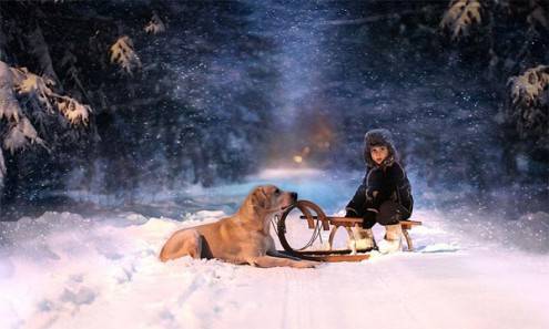 shumilova4