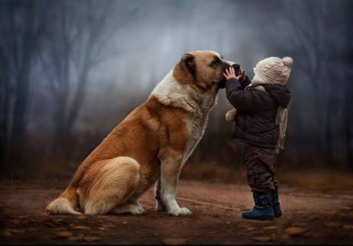 shumilova5
