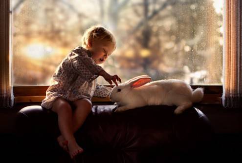 shumilova6