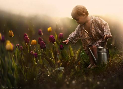 shumilova8