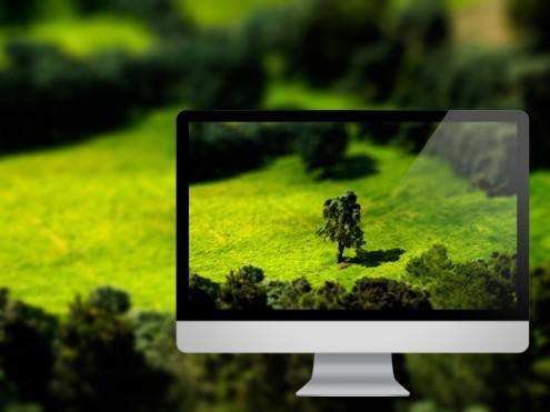 tilt-shift-meadow1