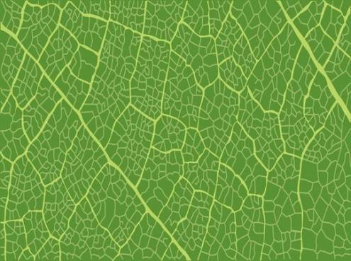 vectorpatterns_40