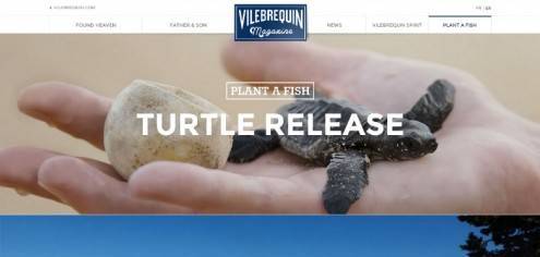 vilebrequin