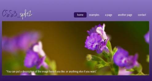 html5andcss3temp11