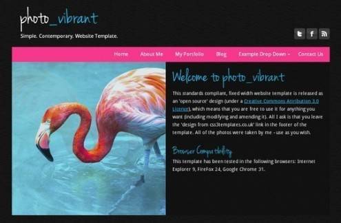 html5andcss3temp12