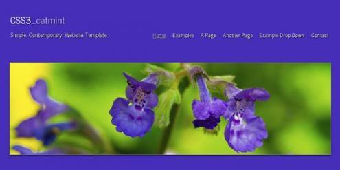 html5andcss3temp7