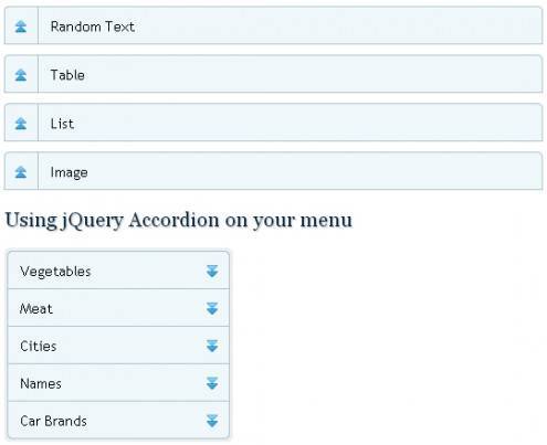 plugindeveloper5