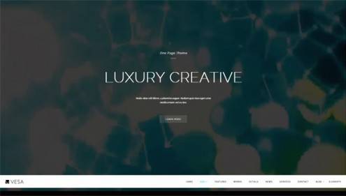10-video-background-wordpress-themes