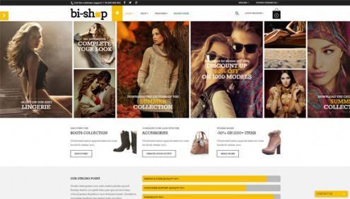 12-wordpress-ecommerce-themes