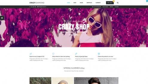 13-wordpress-ecommerce-themes