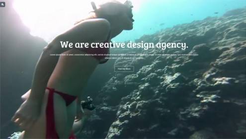 14-video-background-wordpress-themes