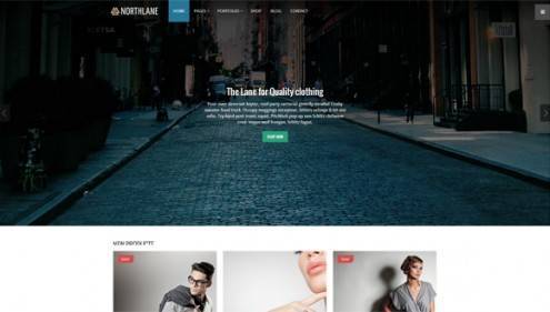 17-wordpress-ecommerce-themes