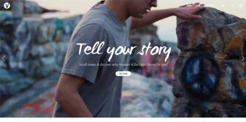 18-video-background-wordpress-themes