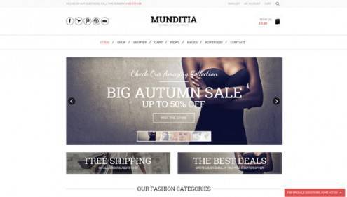 18-wordpress-ecommerce-themes