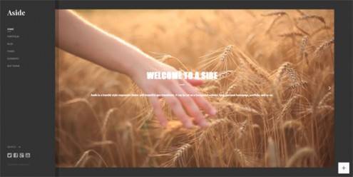 19-video-background-wordpress-themes